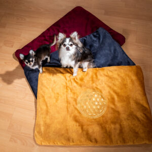 Katze / Hunde-Decke Set