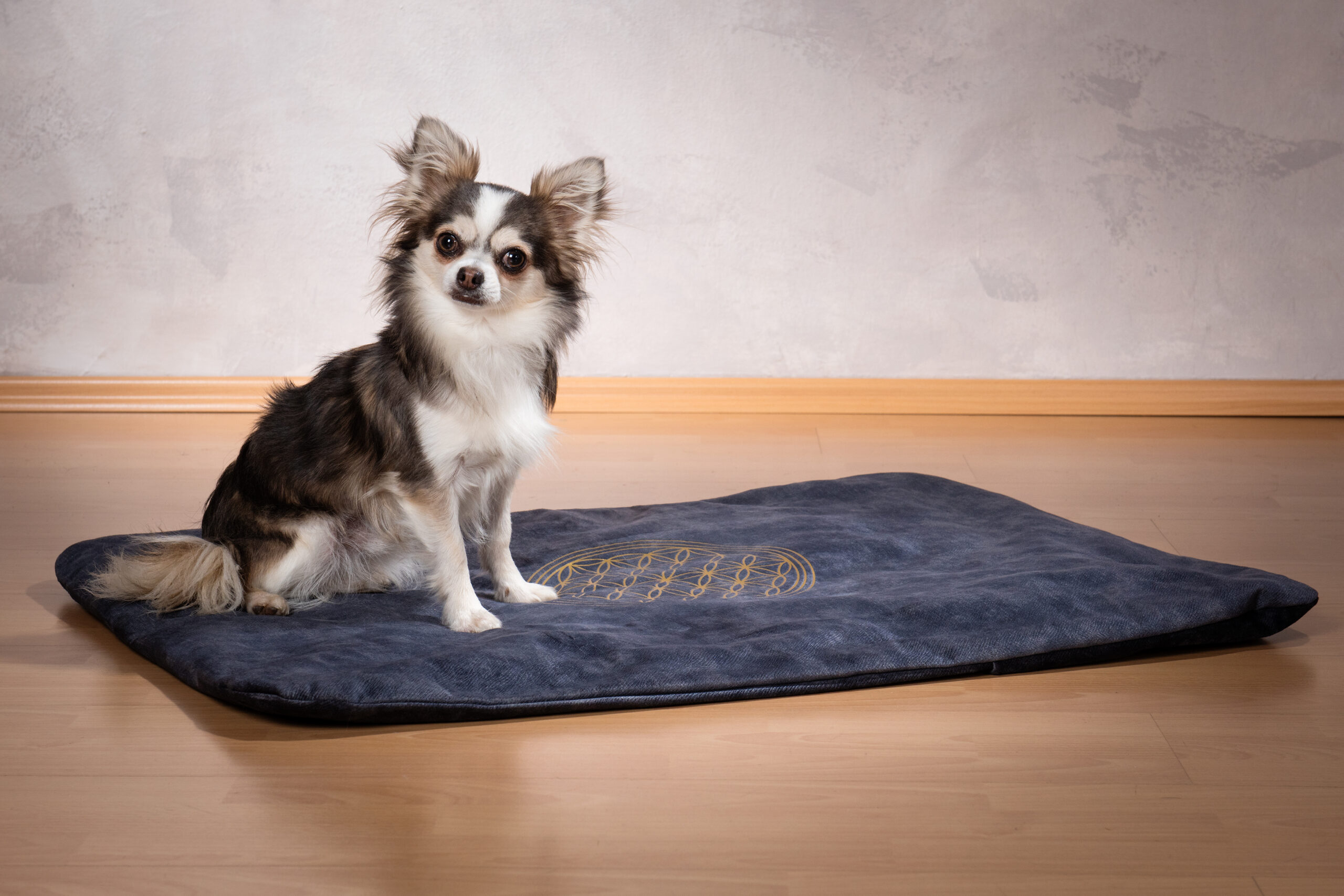 Katze / Hunde-Decke Set - Seide in Hülle und Fülle Hundedecke Katzendecke  Blume des Lebens Haustierdecke