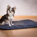 Katze / Hunde-Decke Set – Detailansicht 8