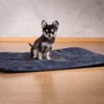 Katze / Hunde-Decke Set – Detailansicht 6